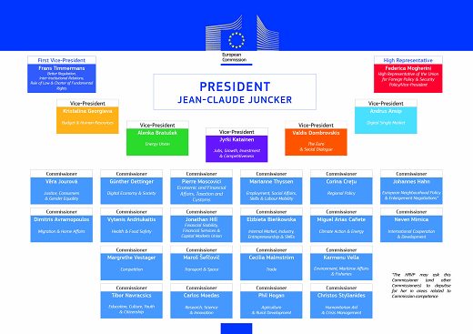 The New Shape in the European Commission